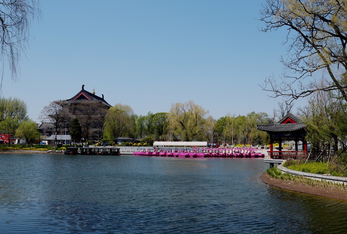 公园随拍（续）