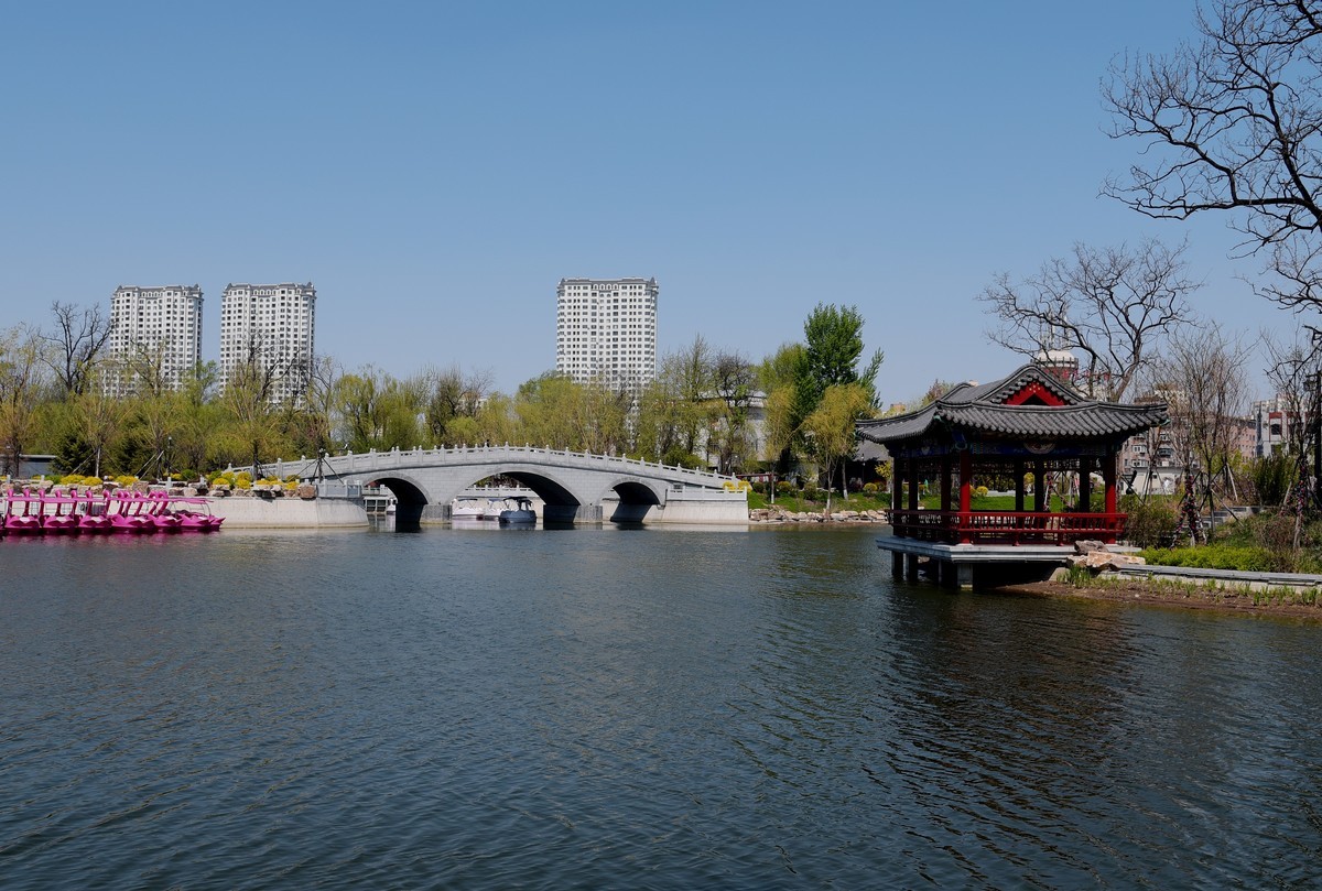 公园随拍（续）