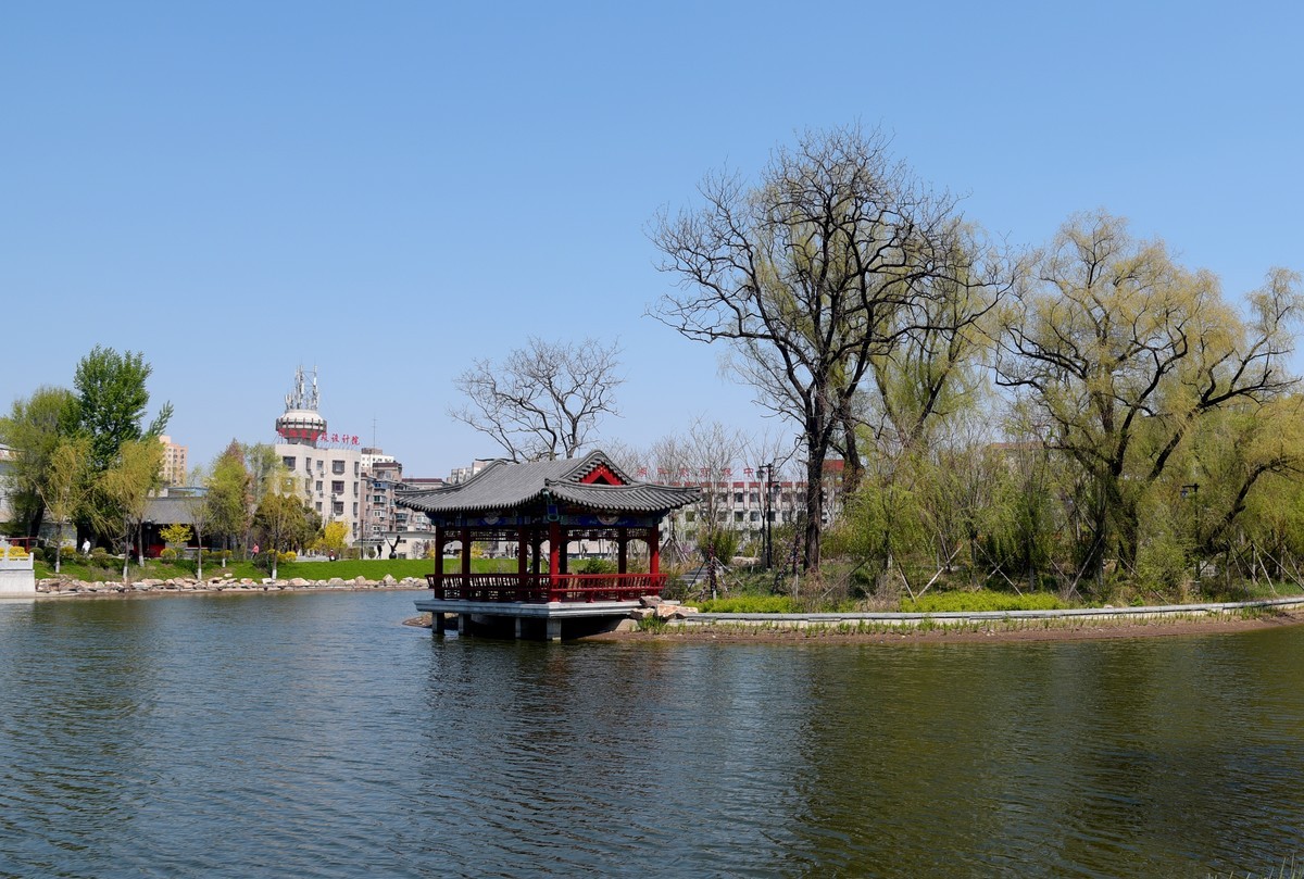 公园随拍（续）