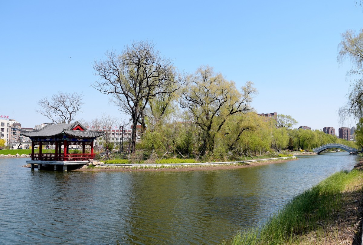 公园随拍（续）