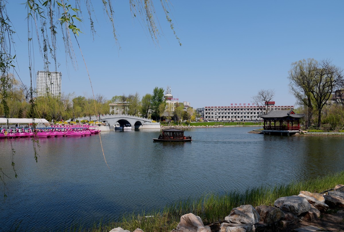 公园随拍（续）