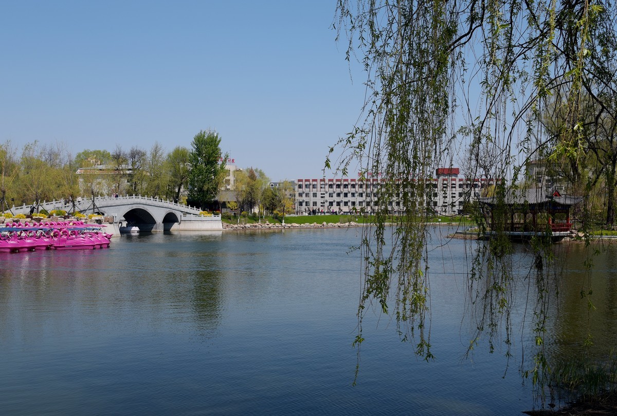 公园随拍（续）