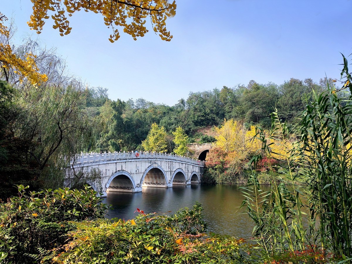 重庆园博园风光 . 手机小景（第三集）——10P