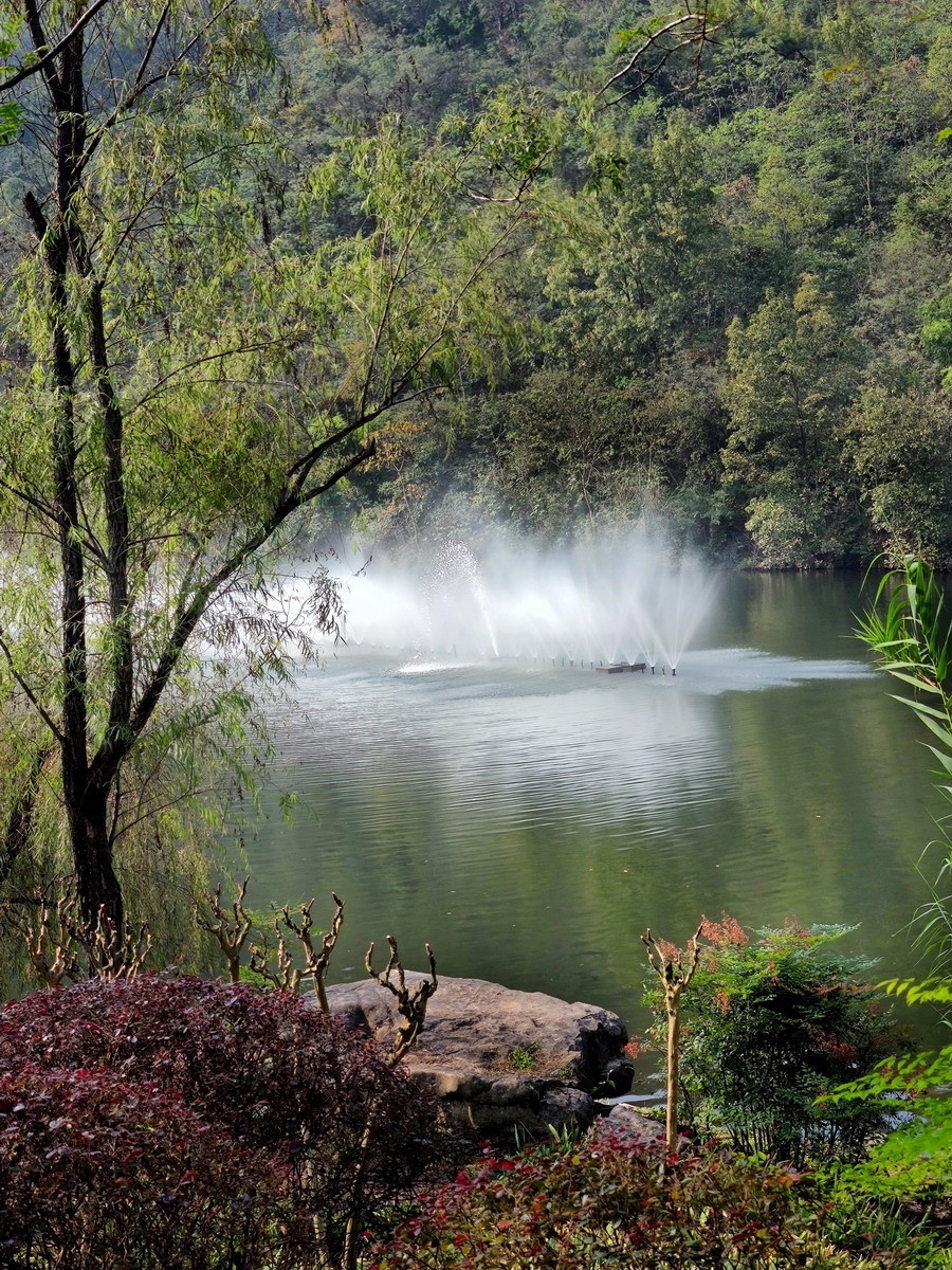 重庆园博园风光 . 手机小景（第三集）——10P