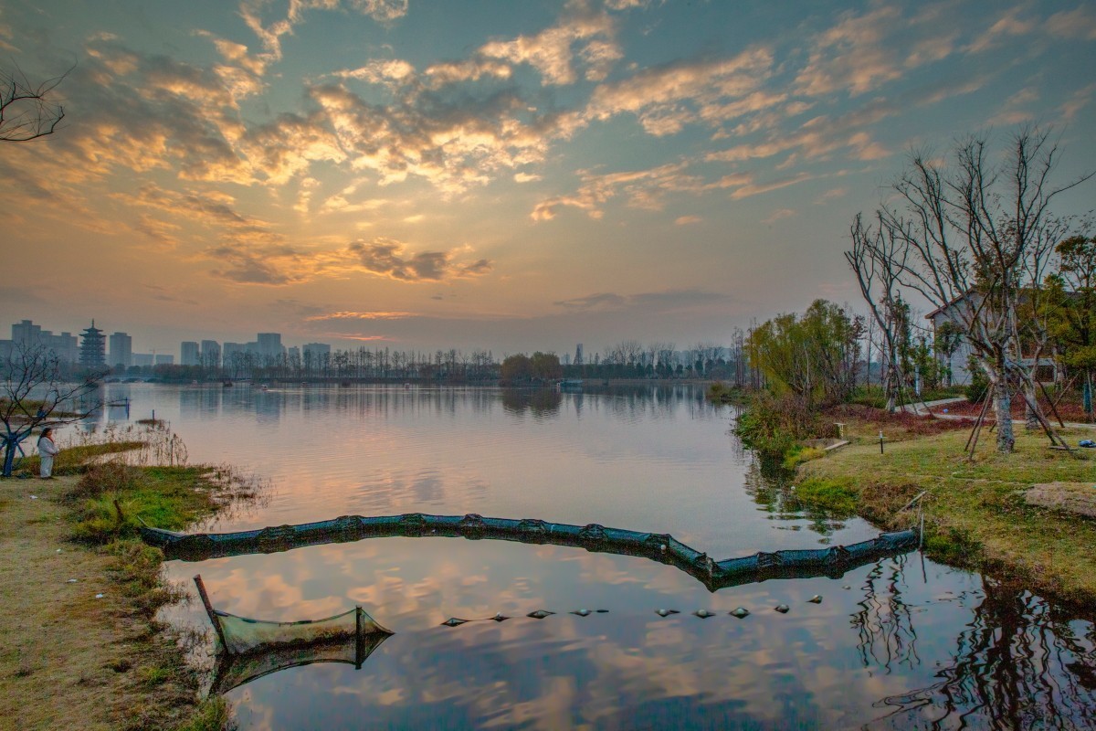 洋湖溼地公園風景21