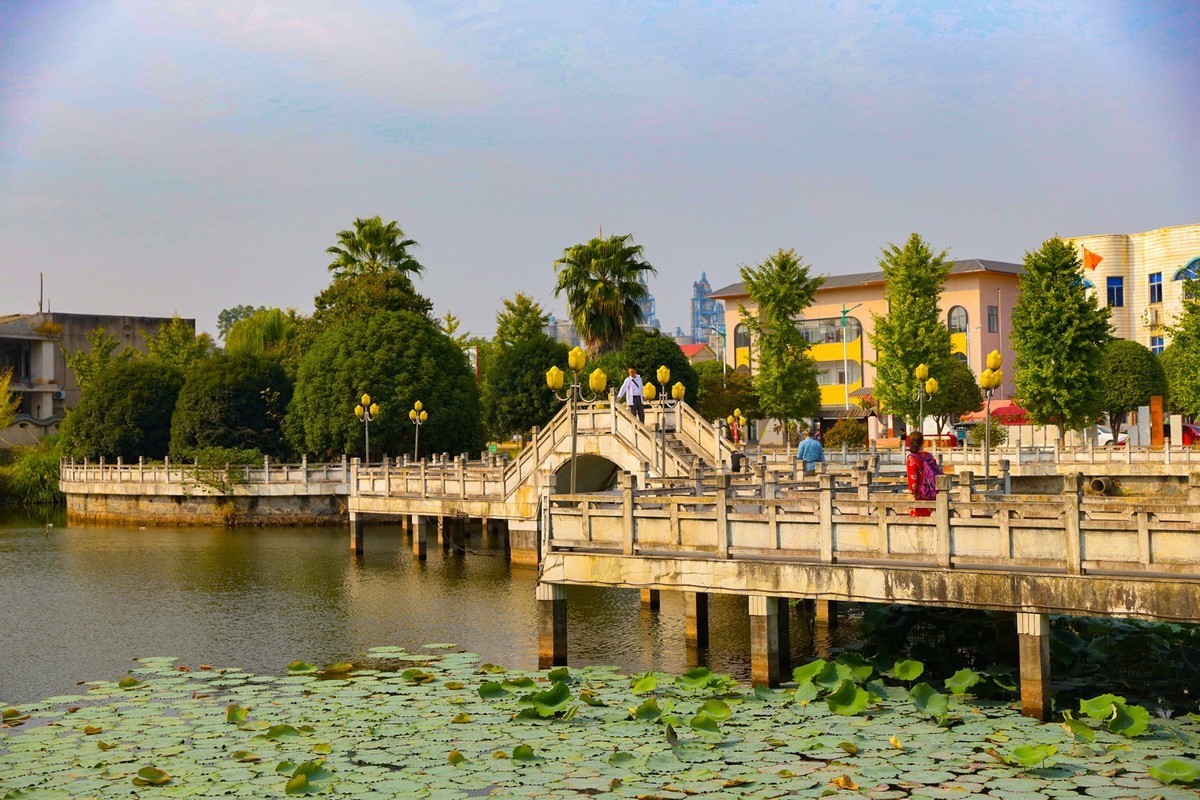 美丽新农村--江背镇狮子山公园