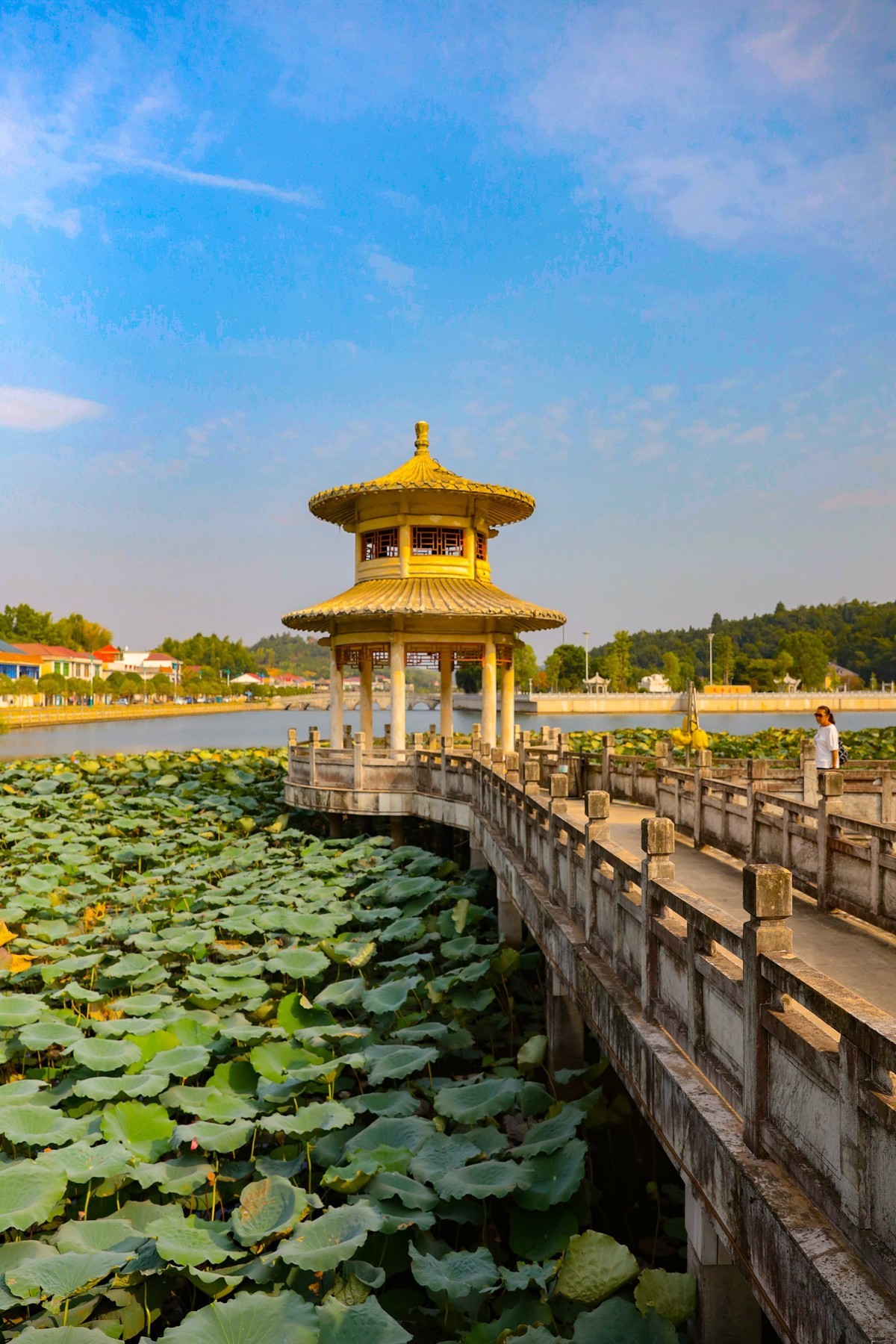 美丽新农村--江背镇狮子山公园