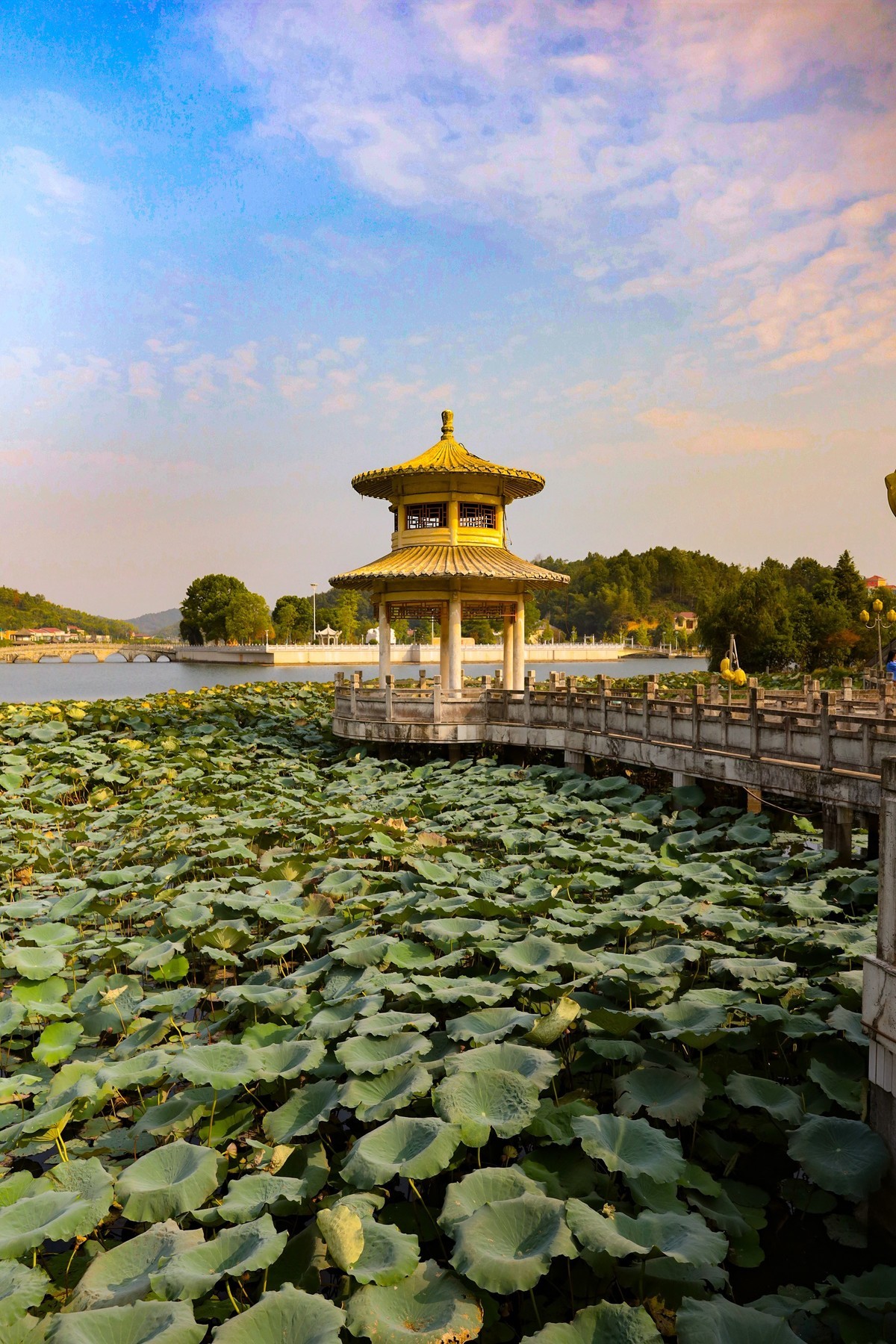 美丽新农村--江背镇狮子山公园