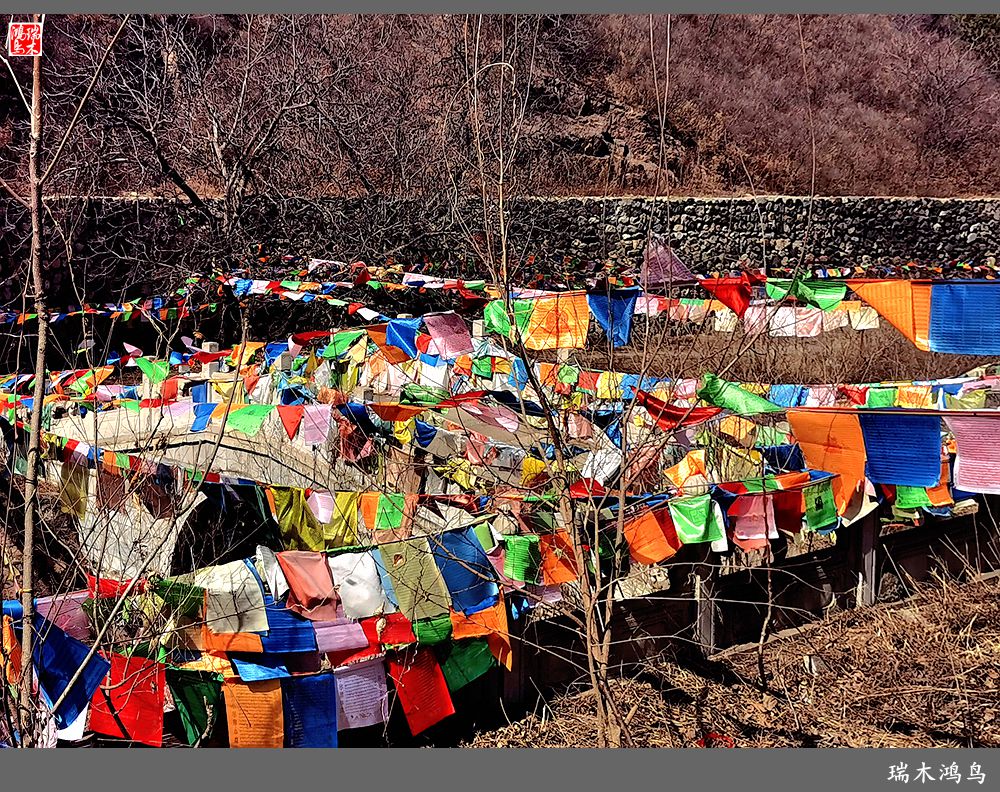 【京城寺庙集锦】84.春游菩萨山上转一遭