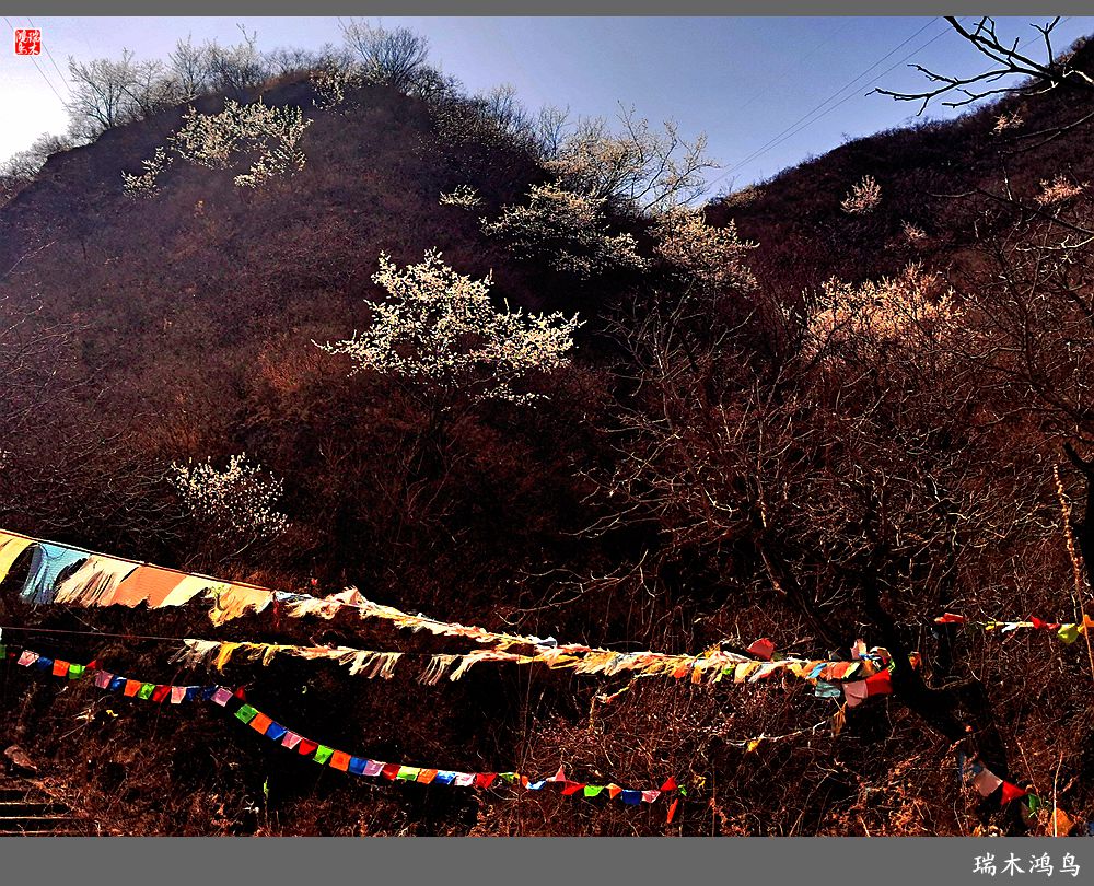 【京城寺庙集锦】84.春游菩萨山上转一遭