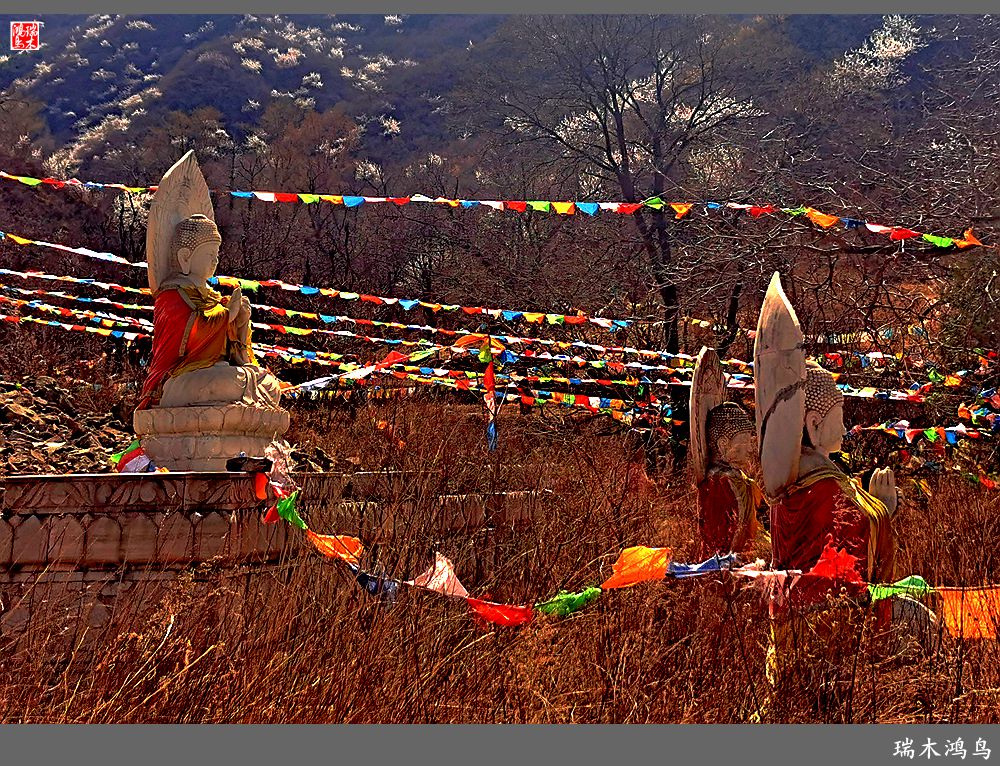 【京城寺庙集锦】84.春游菩萨山上转一遭