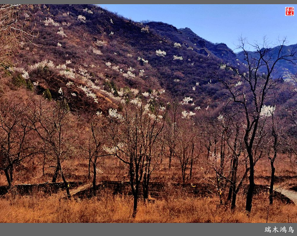 【京城寺庙集锦】84.春游菩萨山上转一遭