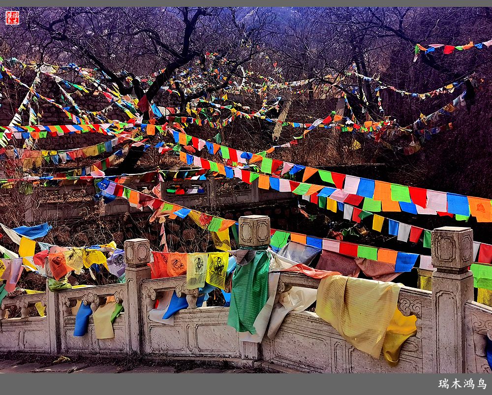 【京城寺庙集锦】84.春游菩萨山上转一遭