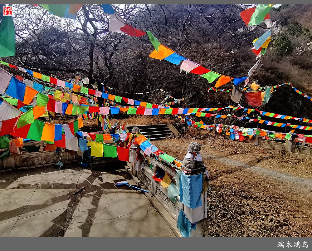 【京城寺庙集锦】84.春游菩萨山上转一遭