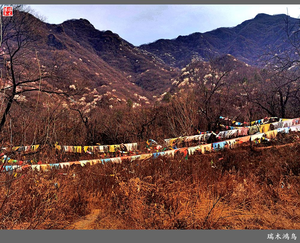 【京城寺庙集锦】84.春游菩萨山上转一遭