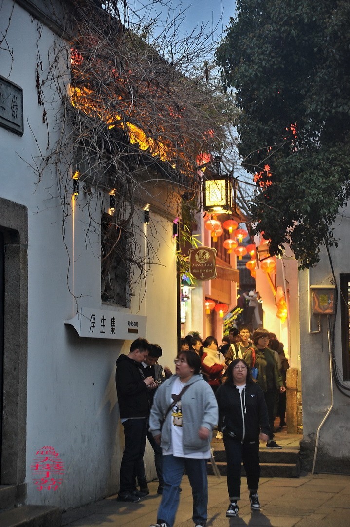 夜游中国威尼斯-七里山塘          周鸣天