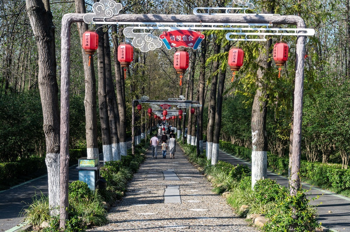 庐州印象（385）