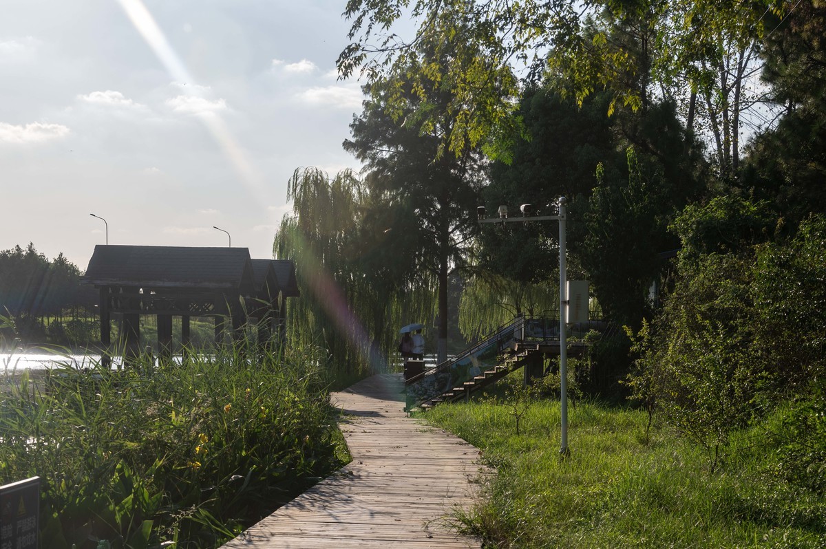 庐州印象（385）