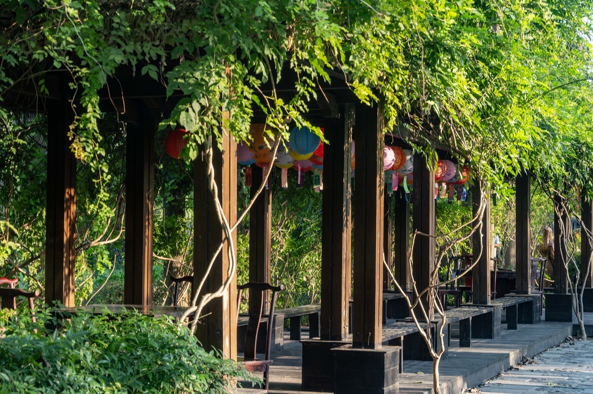 庐州印象（385）