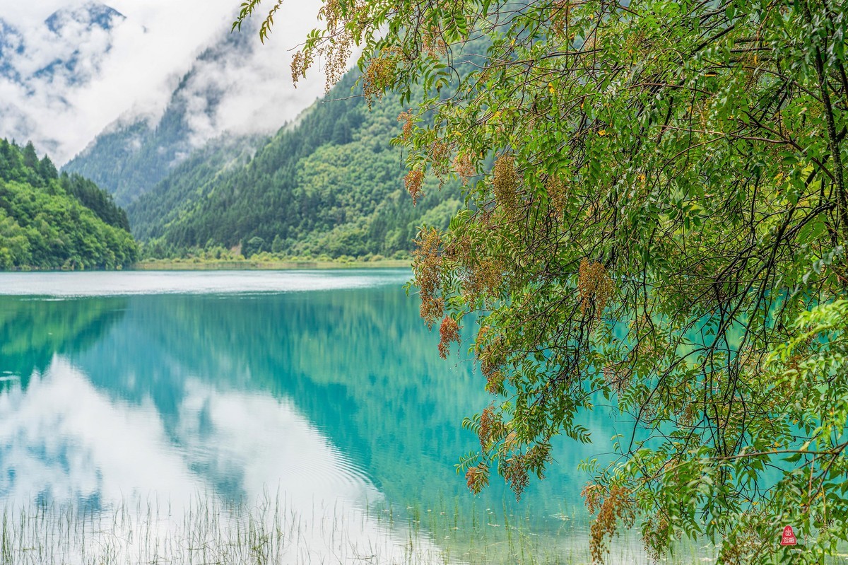 四川行（六）九寨归来不看水（3）