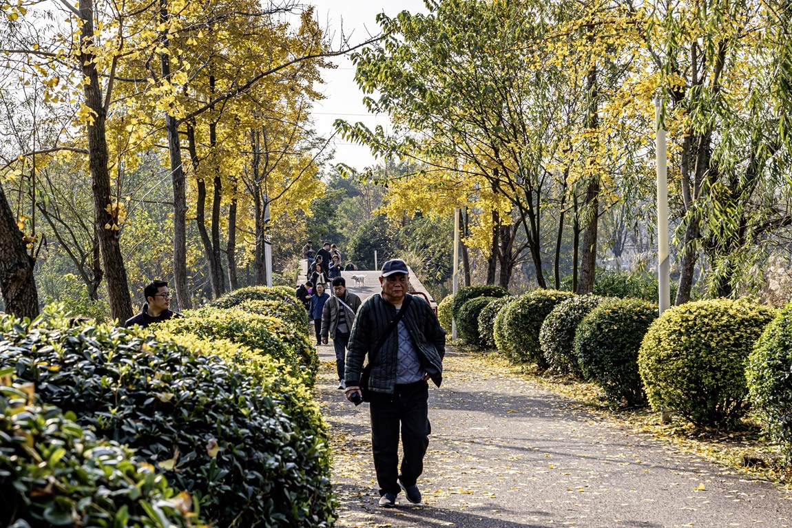成都白鹭湾湿地公园【1】