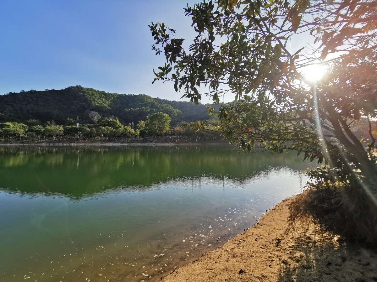 手机记录2021年拍砖的点点滴滴