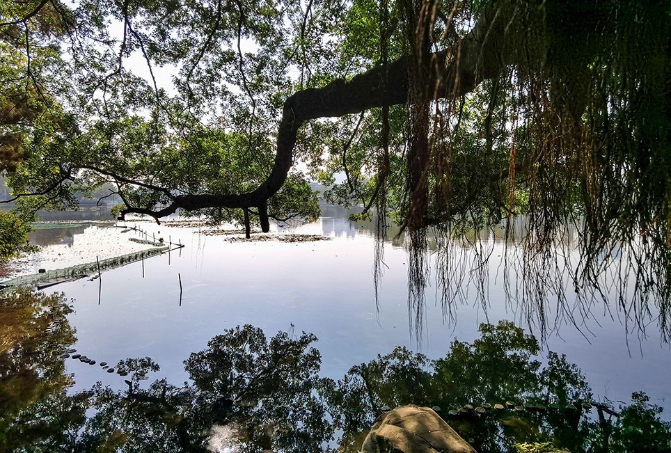 广州公园游拍图汇—1