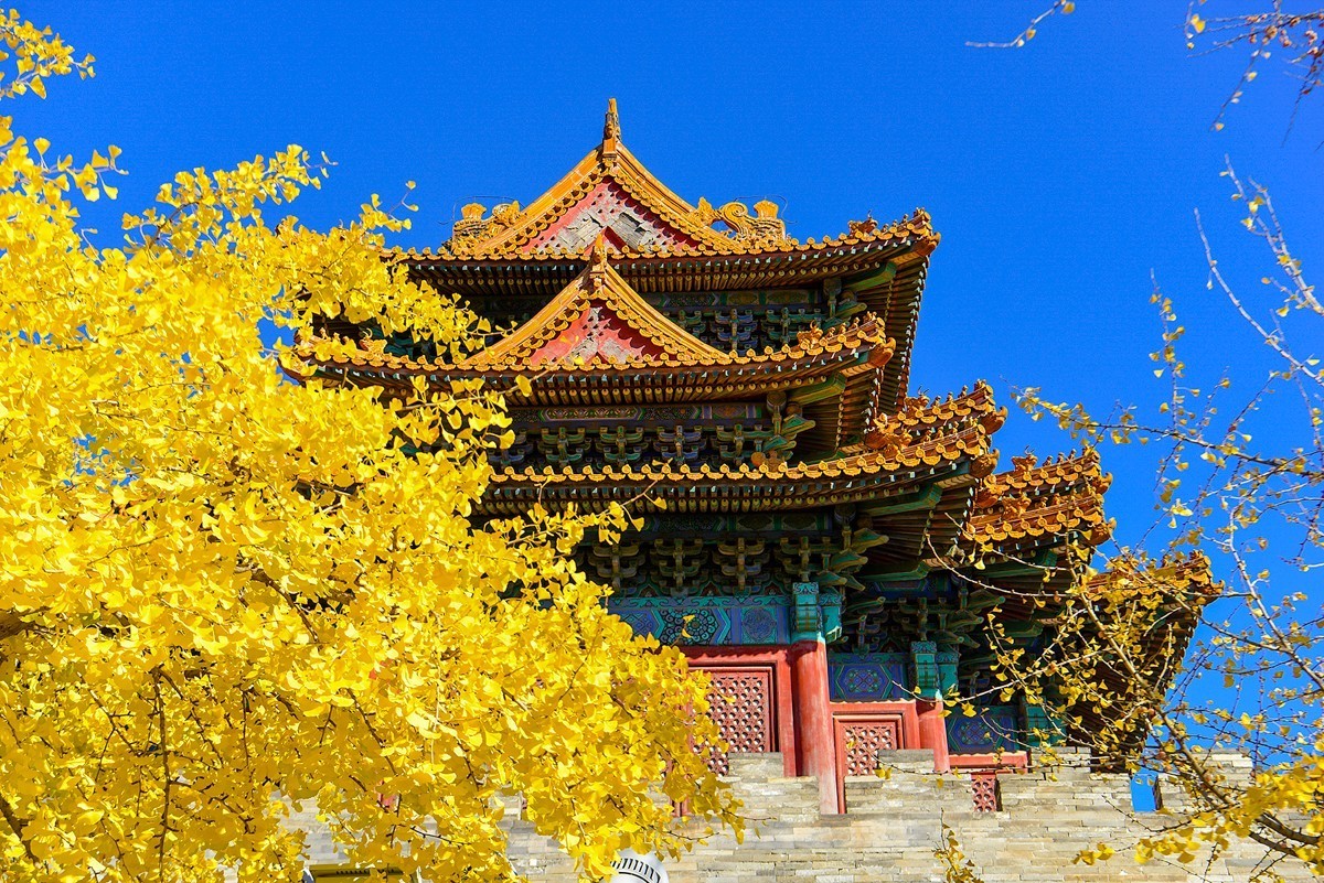 2022年第920贴故宫角楼银杏41108f