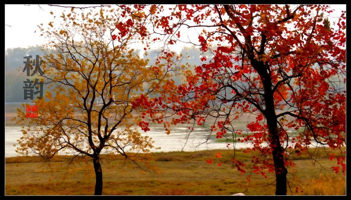 霜叶红于二月花