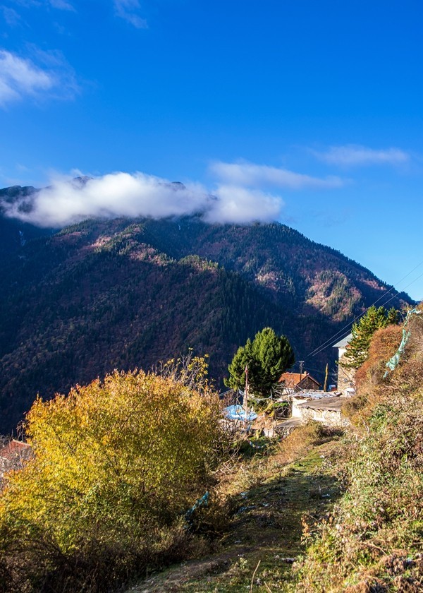 金秋川西行摄【10】云中藏寨