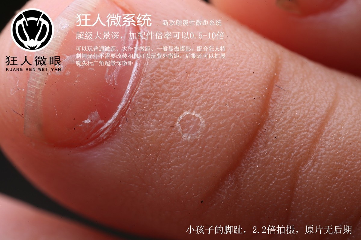 狂人微眼大景深模块化微距镜头试拍