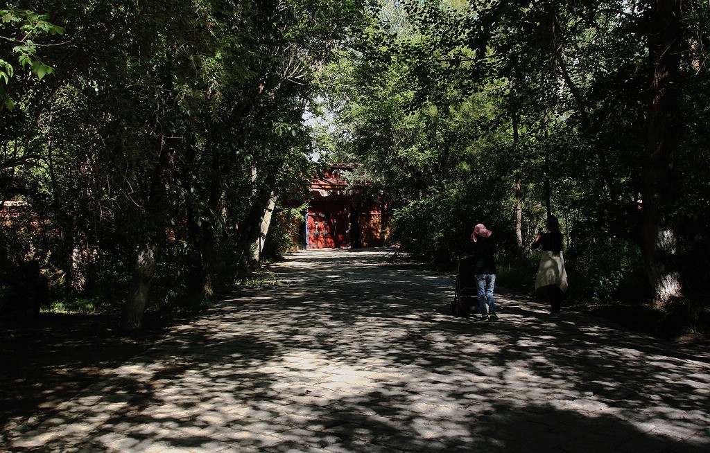 罗布林卡之光影