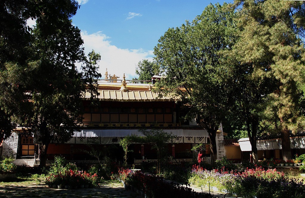 罗布林卡之光影