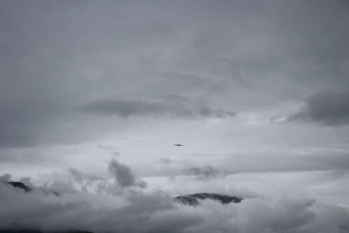 2023夏 黔赣鄂渝川（102）即将消失的川西秘景