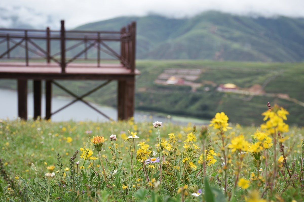 2023夏 黔赣鄂渝川（102）即将消失的川西秘景