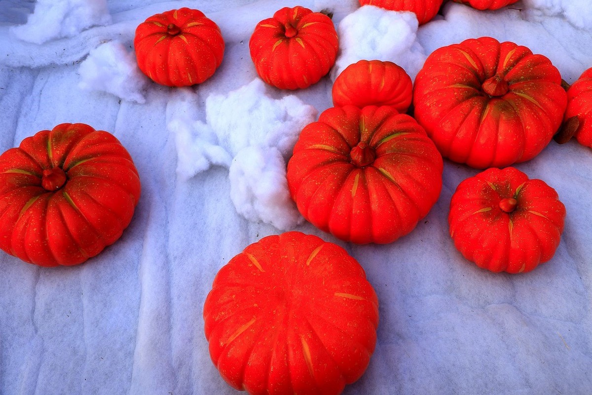 温州南塘彩灯迎春文化节(9)