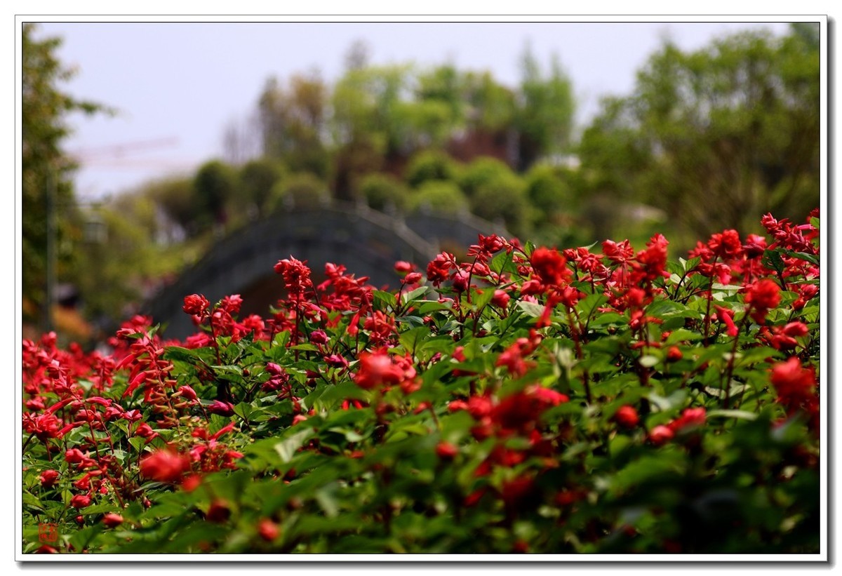 大足香国公园（昌州古城）（4）