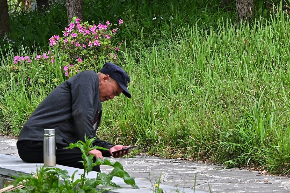 绿中悠闲