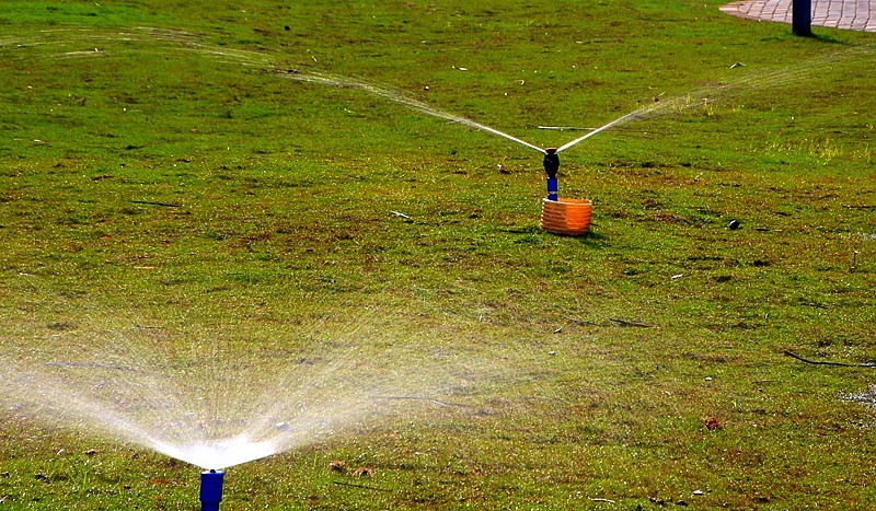 《不老松：忆海南游记》(29)海南--长島兰湾小区游泳池旁的美景!