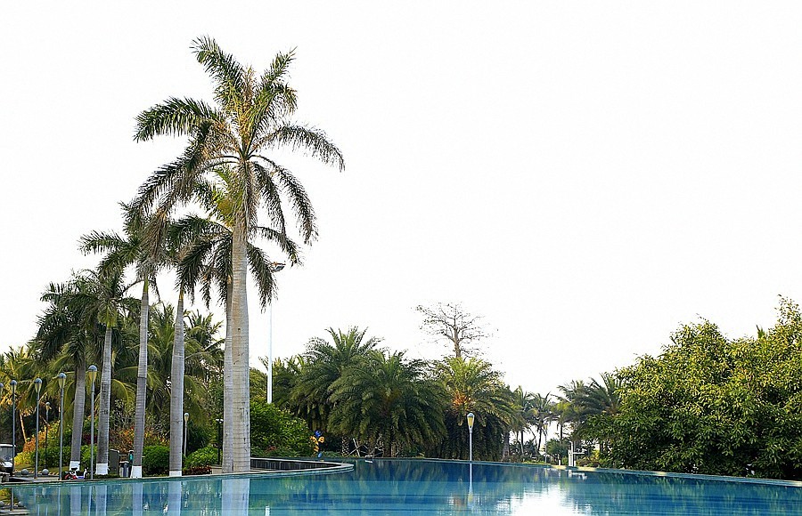 《不老松：忆海南游记》(29)海南--长島兰湾小区游泳池旁的美景!