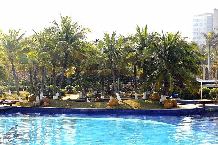 《不老松：忆海南游记》(29)海南--长島兰湾小区游泳池旁的美景!