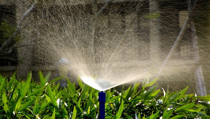 《不老松：忆海南游记》(29)海南--长島兰湾小区游泳池旁的美景!
