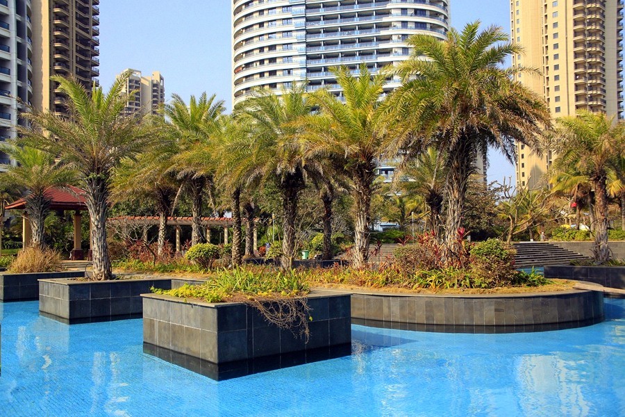 《不老松：忆海南游记》(29)海南--长島兰湾小区游泳池旁的美景!