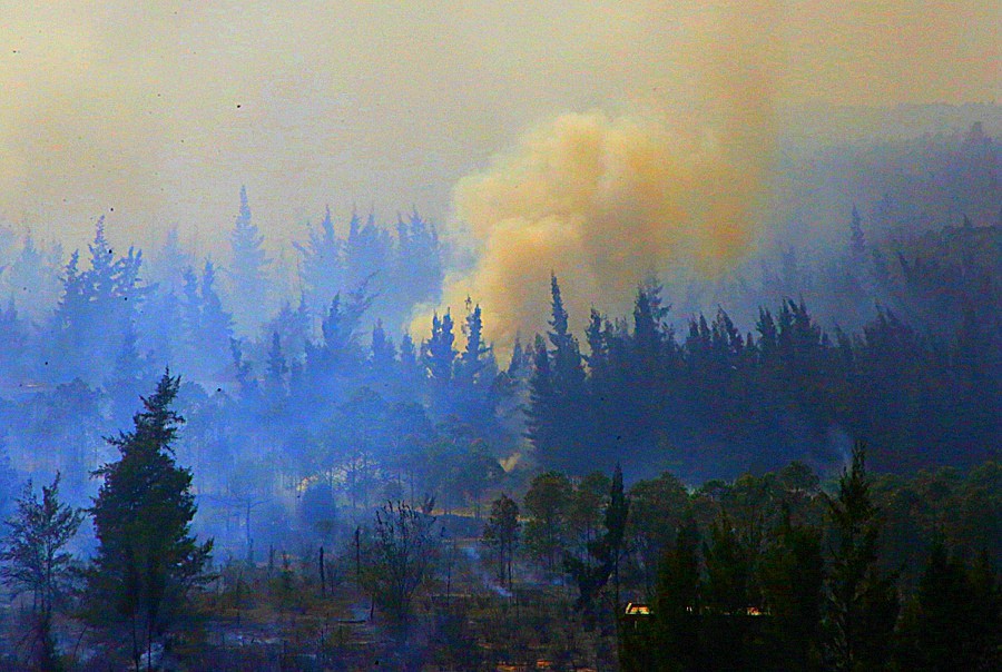 《不老松：忆海南游记》(30)临髙县长島兰湾乡邻在人为烧荒！