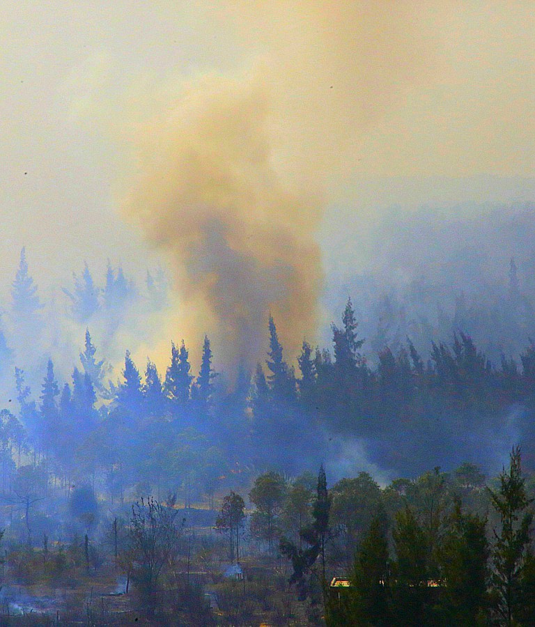 《不老松：忆海南游记》(30)临髙县长島兰湾乡邻在人为烧荒！