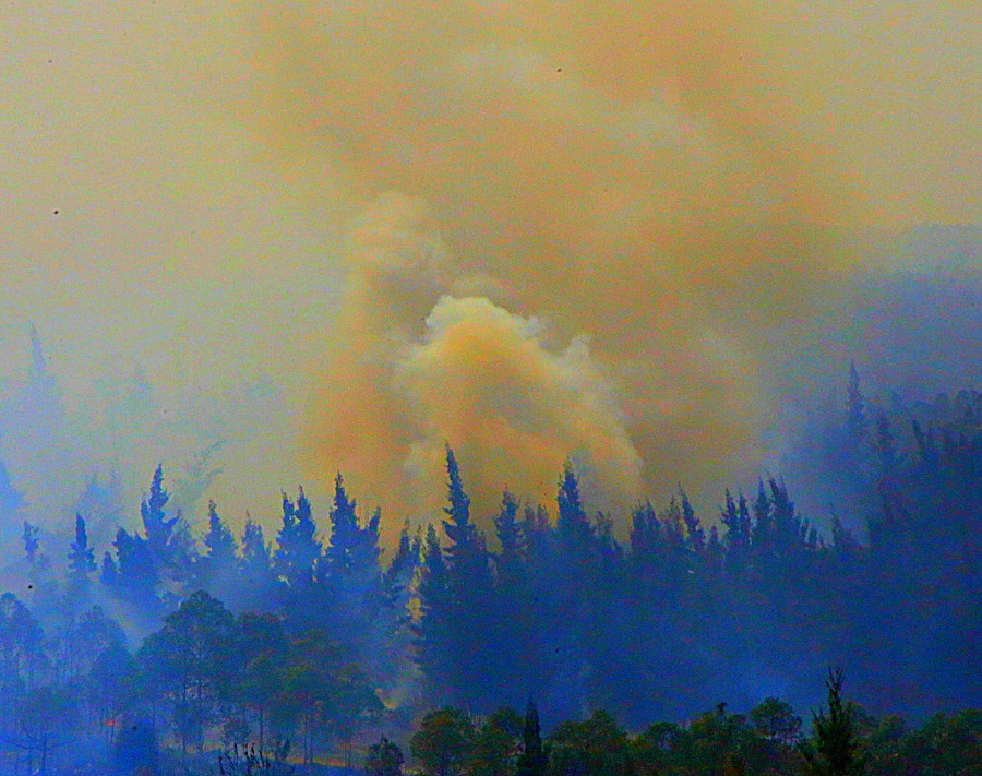 《不老松：忆海南游记》(30)临髙县长島兰湾乡邻在人为烧荒！