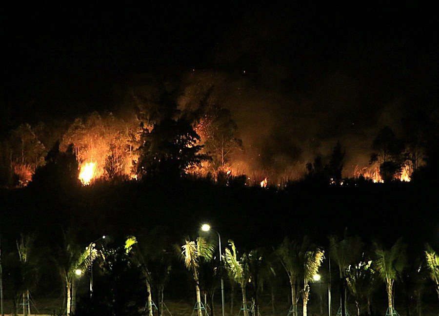 《不老松：忆海南游记》(30)临髙县长島兰湾乡邻在人为烧荒！
