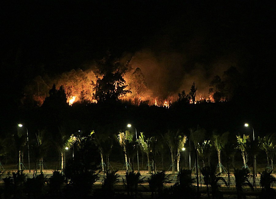 《不老松：忆海南游记》(30)临髙县长島兰湾乡邻在人为烧荒！