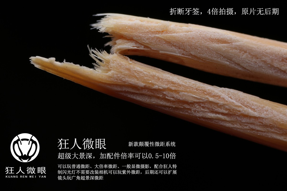 狂人微眼大景深模块化微距镜头试拍