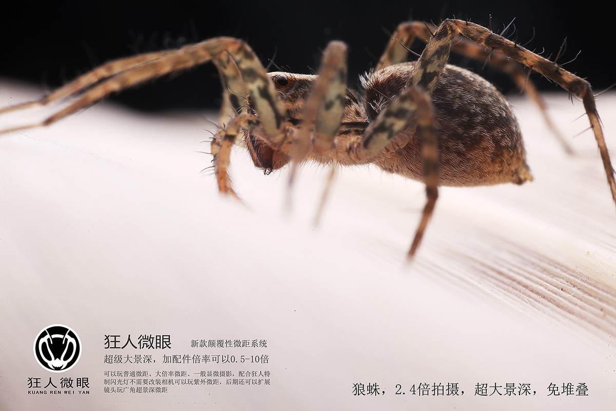 狂人微眼大景深模块化微距镜头试拍